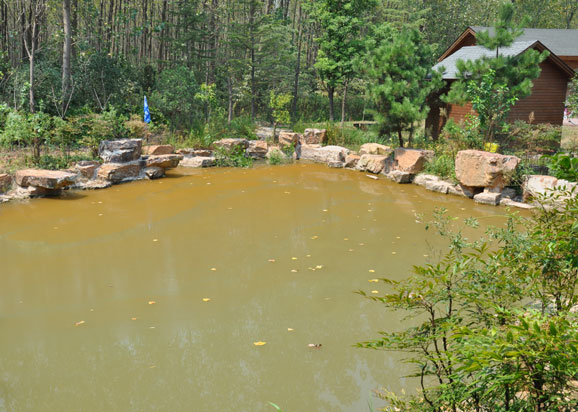 合肥濱湖濕地森林公園水污染應(yīng)急治理實(shí)驗(yàn)項目